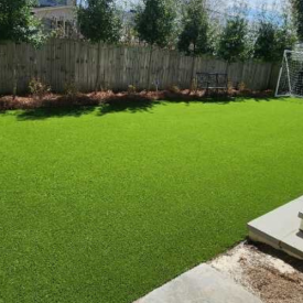 Grass and Lawn new 5