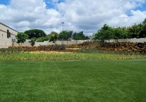 Southwest Greens Artifical Grass Lawn Commercial 1_0