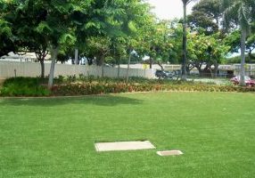 Southwest Greens Fake Grass Lawn Commercial 3_0