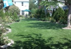 Southwest Greens Synthetic Grass Yard Landscape 3