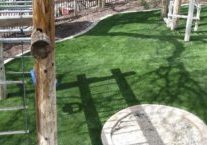 southwestgreens_petturf_04