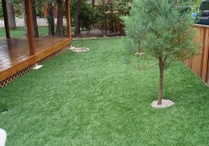 southwestgreens_syntheticgrassandlawn_09