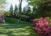 summer-putting-green