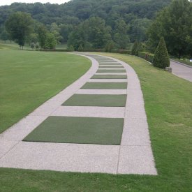 Tee Lines