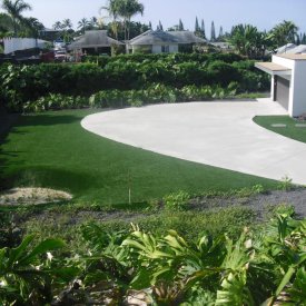 Grass and Lawn