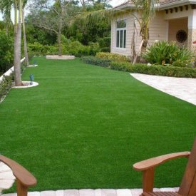 Grass and Lawn