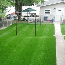 Grass and Lawn