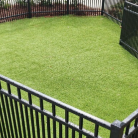 Grass and Lawn new 4